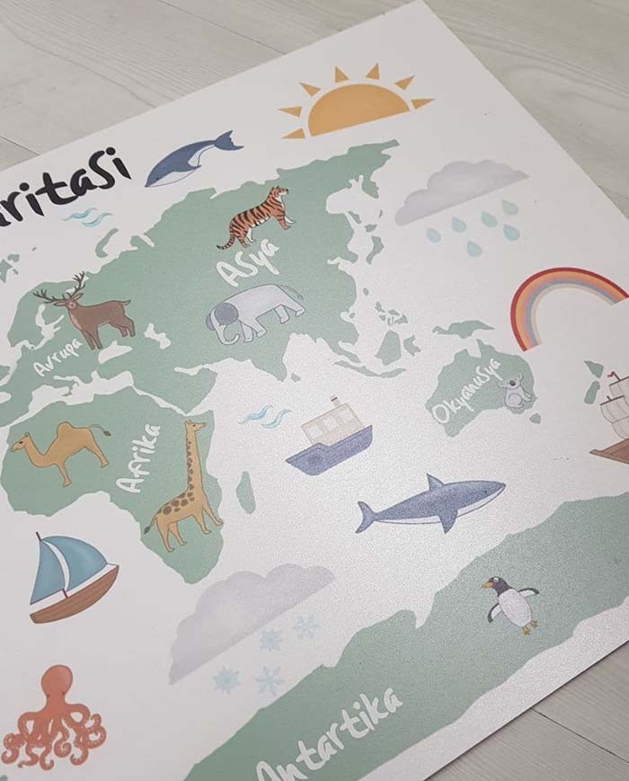 Mdf Dünya Haritası